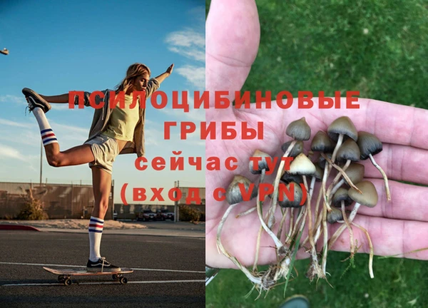 бутират Бронницы