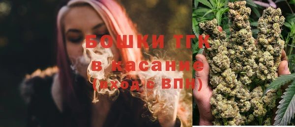apvp Бородино
