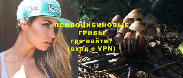 apvp Бородино