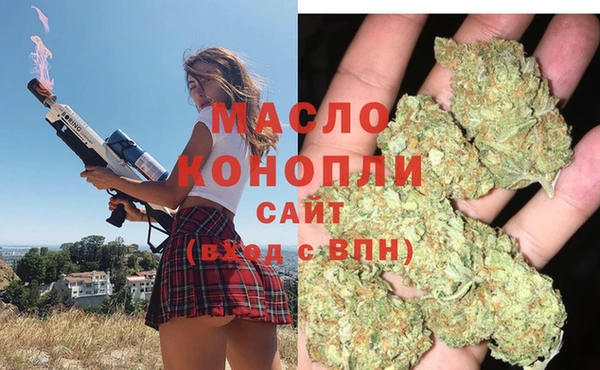 apvp Бородино