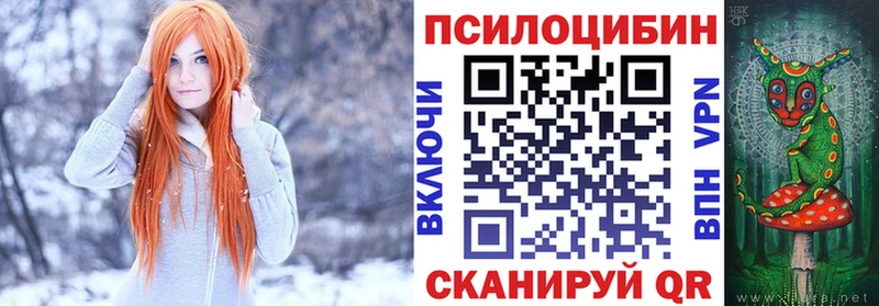 Псилоцибиновые грибы Psilocybine cubensis  Гусиноозёрск 