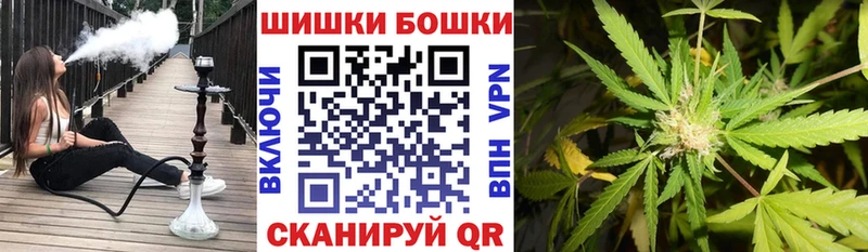 darknet какой сайт  где купить наркоту  Гусиноозёрск  Бошки Шишки гибрид 